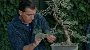 Backdrop to the movie "The Skin I Live In" #699203