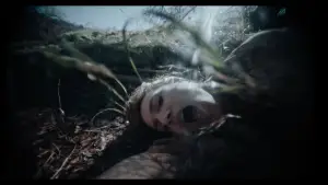 Backdrop to the movie "Trolls" #657817