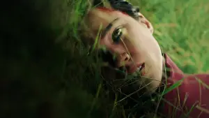 Backdrop to the movie "Don