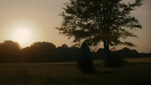 Backdrop to the movie "The Woman in the Yard" #612763