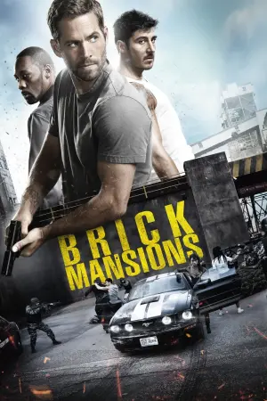 Poster to the movie "Brick Mansions" #89446