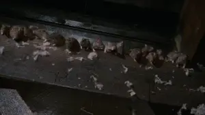 Backdrop to the movie "Krull" #809251