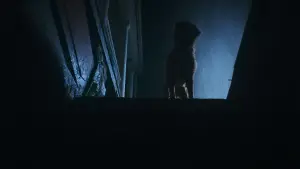 Backdrop to the movie "Good Boy" #517155