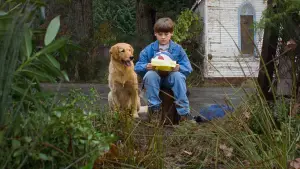 Backdrop to the movie "Air Bud" #626782