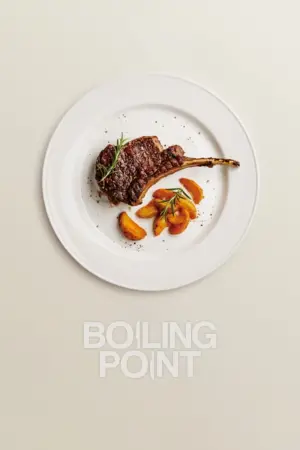 Poster to the movie "Boiling Point" #139399