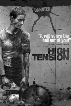Poster to the movie "High Tension" #674146