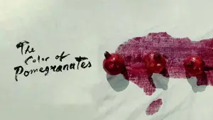 The Color of Pomegranates