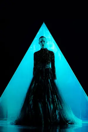 Poster to the movie "The Neon Demon" #850019
