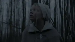 Backdrop to the movie "The Witch" #600253