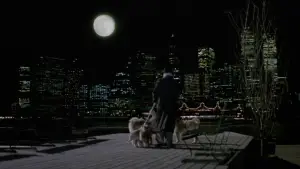 Backdrop to the movie "Moonstruck" #714811