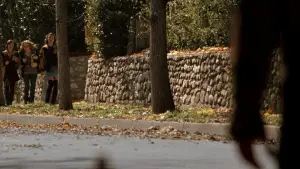 Backdrop to the movie "Halloween" #727710