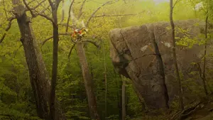 Backdrop to the movie "Moonrise Kingdom" #201680