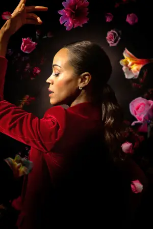 Poster to the movie "Emilia Pérez" #581520