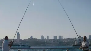 Backdrop to the movie "Searching For Rodakis" #478240