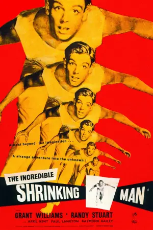 Poster to the movie "The Incredible Shrinking Man" #212678