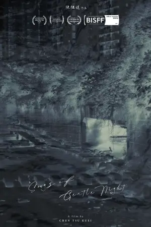 Poster to the movie "Songs of Gentle Night" #784718