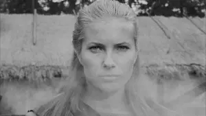 Backdrop to the movie "The Seventh Seal" #176153