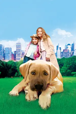 Poster to the movie "Chestnut: Hero of Central Park" #317504