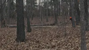 Backdrop to the movie "Prisoners" #639611