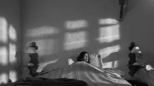 Backdrop to the movie "Tetro" #724090