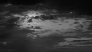 Backdrop to the movie "Rumble Fish" #720953