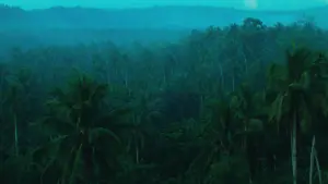 Backdrop to the movie "Days of Being Wild" #224122