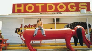 Backdrop to the movie "Forces of Nature" #411820