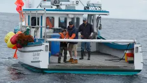 Backdrop to the movie "Manchester by the Sea" #624222