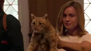 Backdrop to the movie "Captain Marvel" #573673