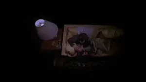 Backdrop to the movie "Mysterious Skin" #637808