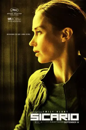 Poster to the movie "Sicario" #39665