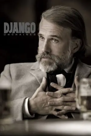 Poster to the movie "Django Unchained" #750122