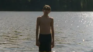 Backdrop to the movie "Falcon Lake" #196066