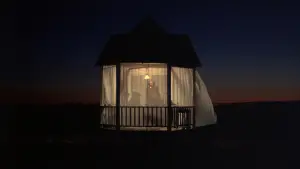 Backdrop to the movie "Days of Heaven" #716379