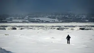 Backdrop to the movie "Diego Star" #672132