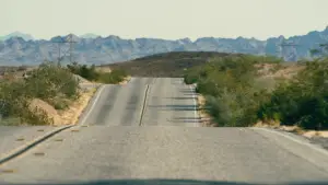 Backdrop to the movie "BC Project" #510293