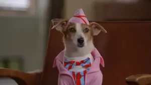 Backdrop to the movie "Santa Paws 2: The Santa Pups" #355529