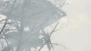 Backdrop to the movie "War of the Worlds" #608532