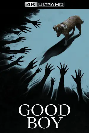 Poster to the movie "Good Boy" #770390