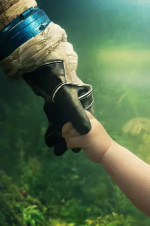 Poster to the movie "High Life" #376876