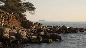 Backdrop to the movie "Tu m