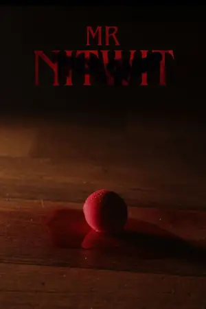 Mr Nitwit