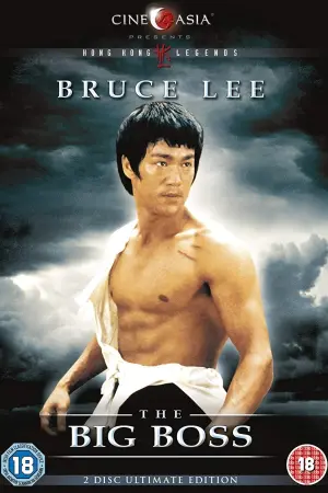 Poster to the movie "The Big Boss" #91140