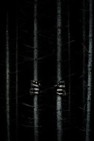 Poster to the movie "Blair Witch" #329262