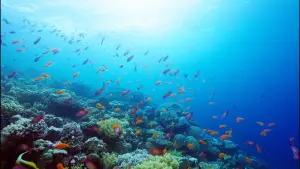 Backdrop to the movie "Horizon Saudi Arabia" #793427