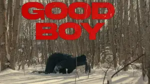 Backdrop to the movie "Good Boy" #747282