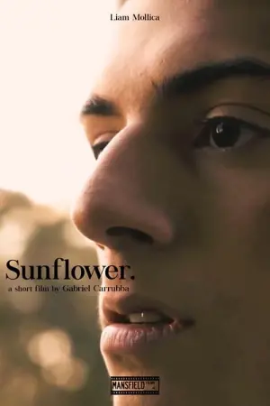 Poster to the movie "Sunflower" #476393