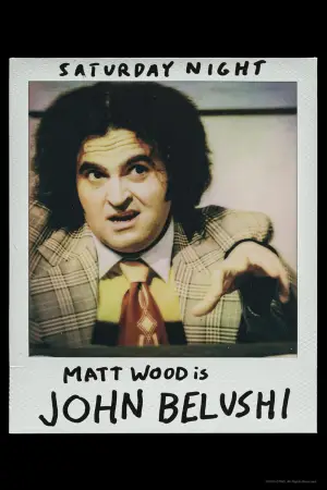 Poster to the movie "Saturday Night" #635291