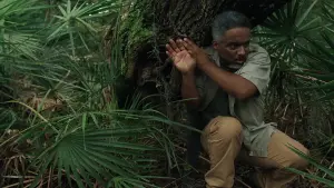 Backdrop to the movie "Megaboa" #164390