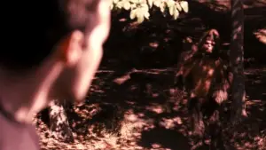 Backdrop to the movie "Eaglewalk" #686000